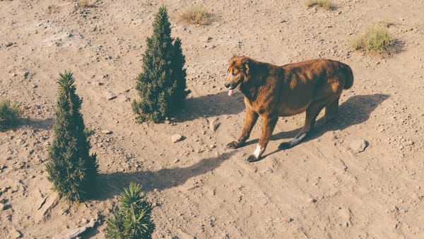 Testing OpenTelemetry Sampling Strategies: Head, Tail, and Adaptive Sampling